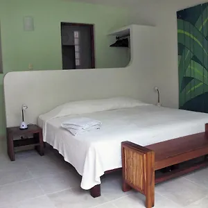 Elements Of The Island México